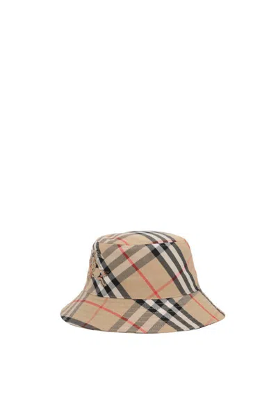 Burberry Scarfs In Brown