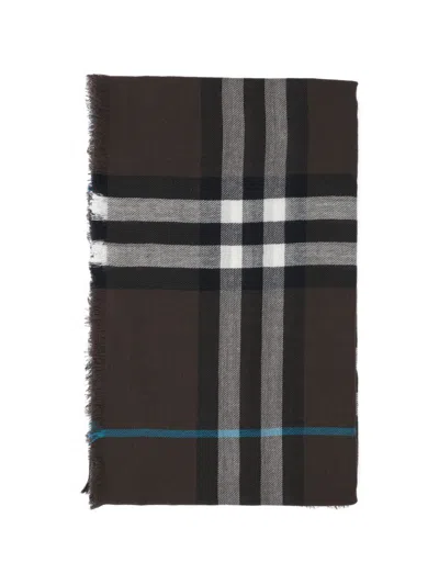 Burberry Scarfs In Brown