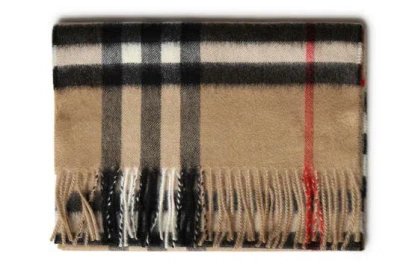 Burberry Scarfs In Multi