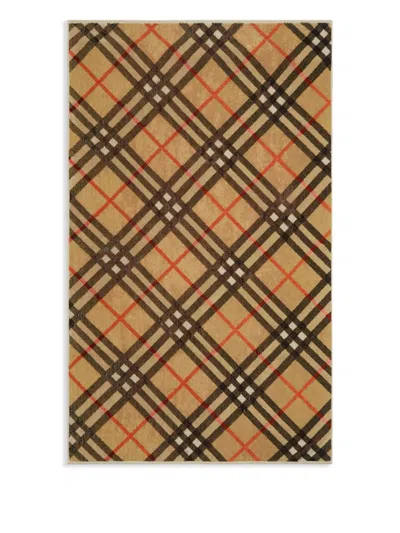 Burberry Scarfs In Brown