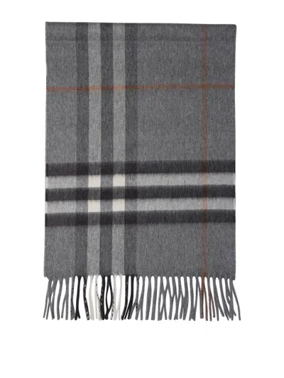 Burberry Scarves