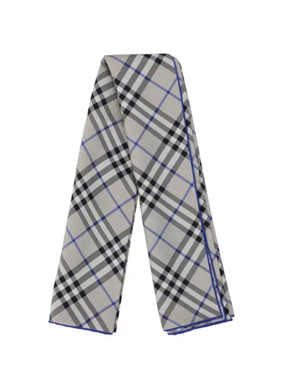 Burberry Scarves