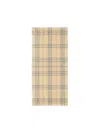 Burberry Checked Frayed-edge Scarf In Beige
