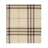Burberry Giant Check Wool Scarf In Multicolor