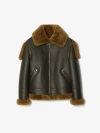 Burberry Shearling Leather Aviator Jacket In Otter