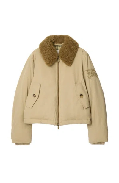 Burberry Shearling Collar Gabardine Jacket In Pink