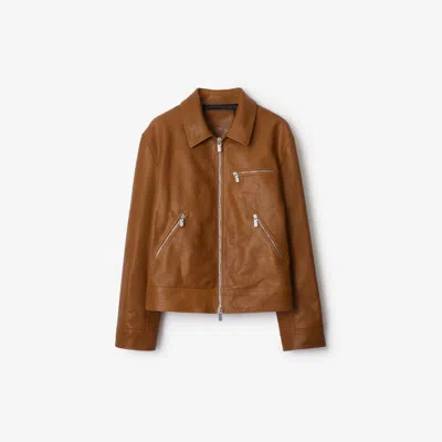 Burberry Shearling Collar Leather Jacket In Hazel