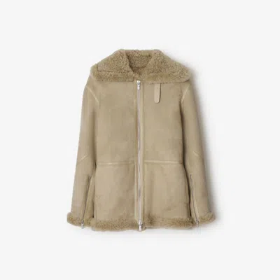 Burberry Suede Shearling Coat In Beige