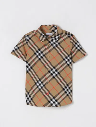 BURBERRY SHIRT BURBERRY KIDS COLOR BEIGE,425358022