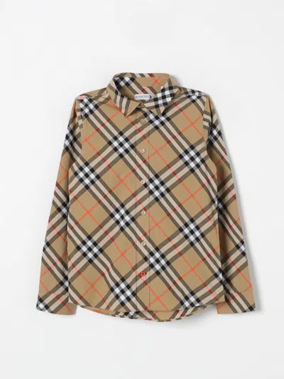 BURBERRY SHIRT BURBERRY KIDS COLOR BEIGE,412227022