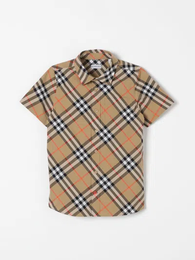 Burberry Shirt  Kids Color Beige