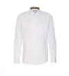Burberry Cotton Poplin Shirt Buttoned Cuffs In White