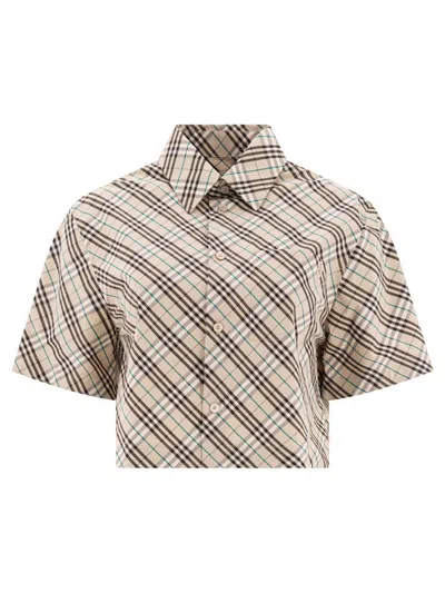 Burberry Shirts In Brown