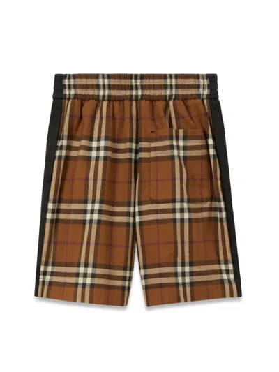 Burberry Short Pants In Brown