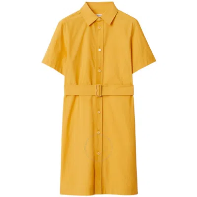 Burberry Embroidered-motif Cotton-blend Dress In Sunflower