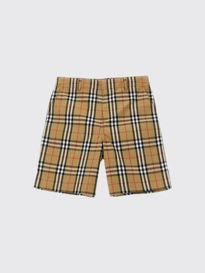 Burberry Kids' Shorts  Kinder Farbe Beige In Gold