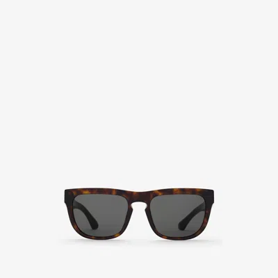 Burberry Square Sunglasses In Dark Havana
