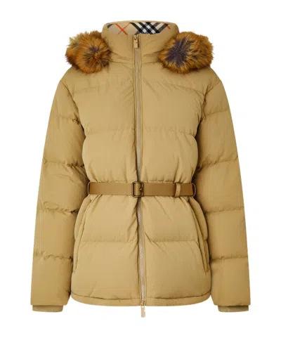 Burberry Stitch-on Hooded Down Jacket In Brown