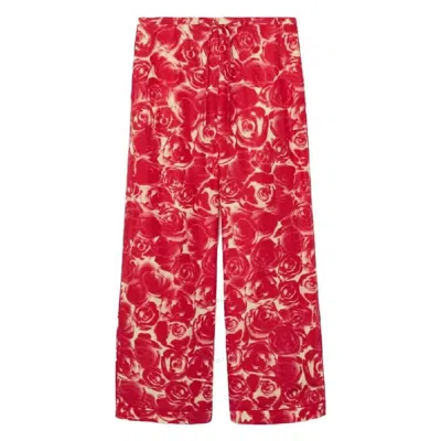 Burberry Straight Leg Rose Print Trousers