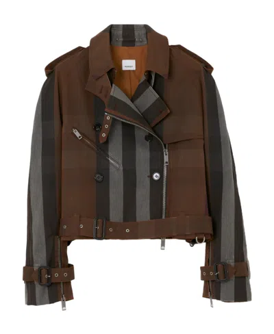 Burberry Stripe-pattern Cotton Biker Jacket In Brown