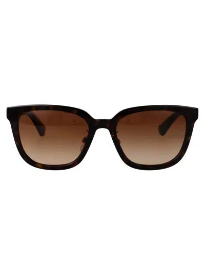 Burberry Sunglasses In Brown