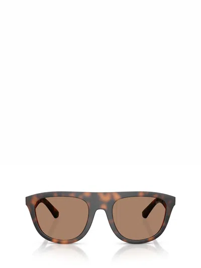 Burberry Sunglasses In Brown