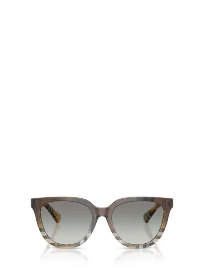Burberry Sunglasses In Gray