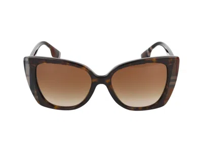 Burberry Sunglasses In Brown
