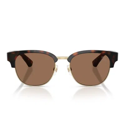 Burberry Sunglasses Be4485 420573 Brown/dark Brown Men In White