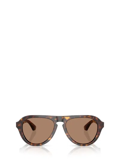 Burberry Sunglasses In Brown
