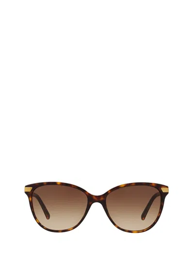 Burberry Sunglasses In Brown