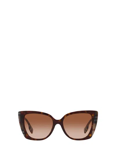 Burberry Sunglasses In Dark Havana / Check Brown