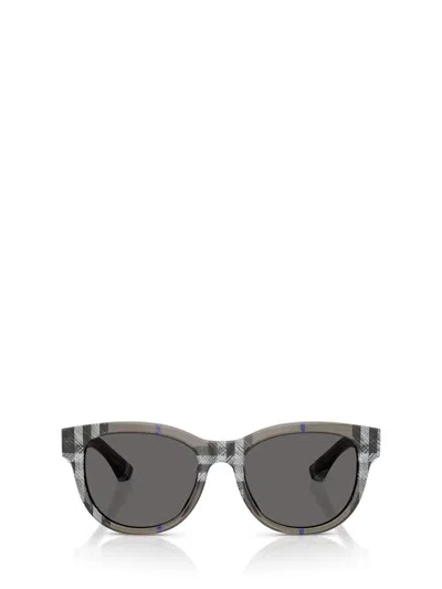 Burberry Sunglasses In Brown
