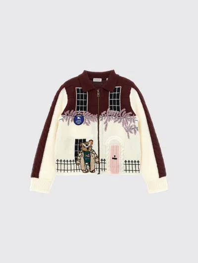Burberry Sweater Kids Color Multicolor