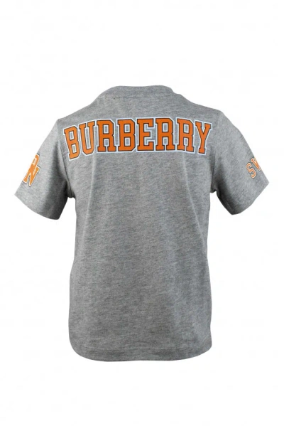 Burberry T Shirt In Gray