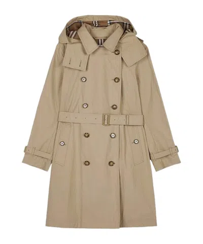 Burberry Telford Hooded Windbreaker In Brown