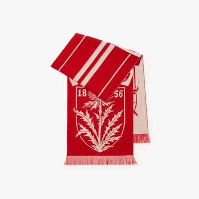 Burberry Thistle Shield Wool Scarf In Red