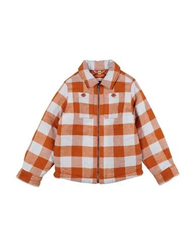 Burberry Babies'  Toddler Boy Jacket Tan Size 6 Cotton In Red