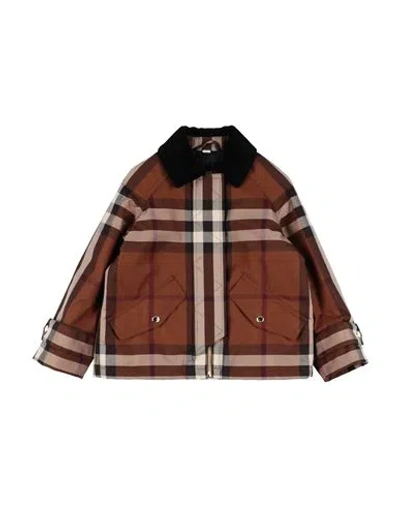 Burberry Babies'  Toddler Girl Jacket Brown Size 6 Cotton
