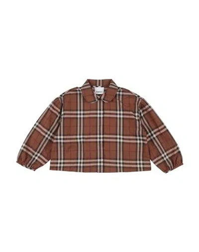 Burberry Babies'  Toddler Girl Shirt Brown Size 6 Cotton