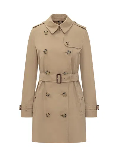 Burberry Trench Coat In Brown
