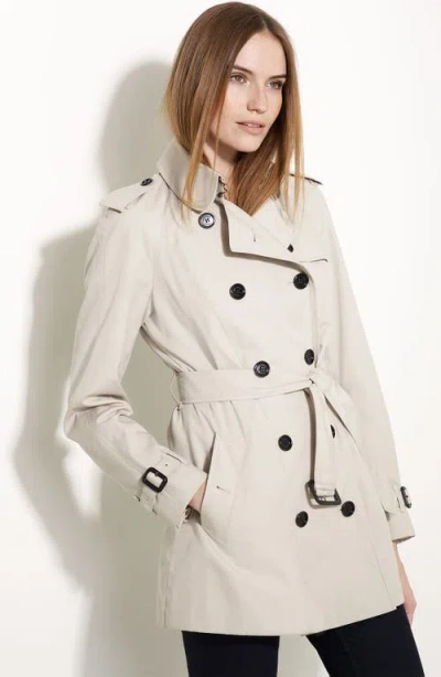 Burberry In Trench