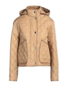 Burberry Roxbugh Quilted Hooded Jacket
