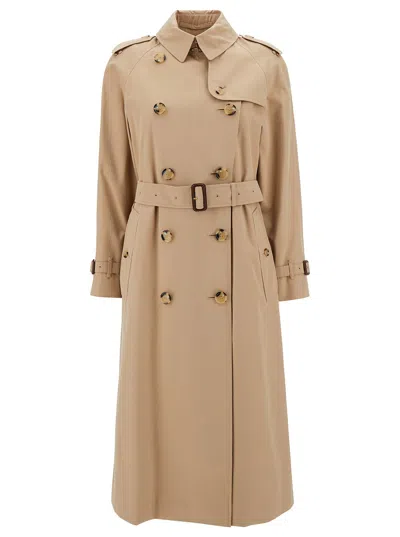 Burberry Women Beige Double-breasted Trench Coat With Matching Belt In Cotton Woman In Multi