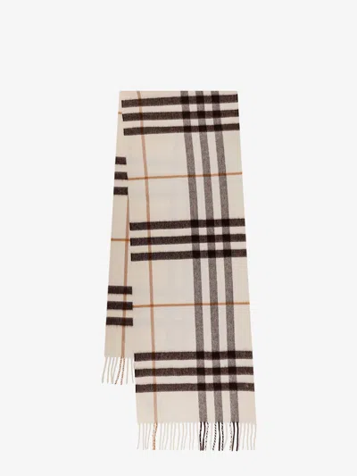 Burberry Women Cashmere Scarf In Multi