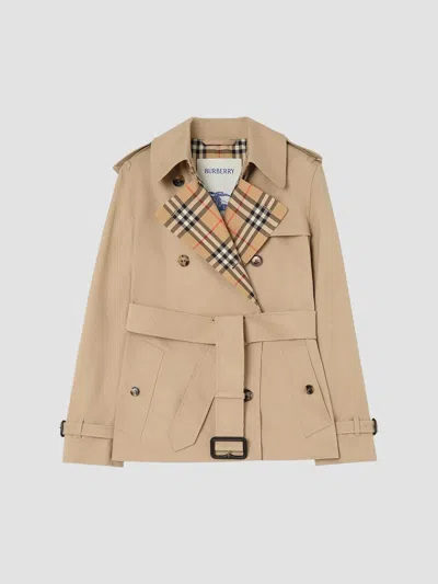 Burberry Women's Cotton Lakefield Trench Jacket In Honey