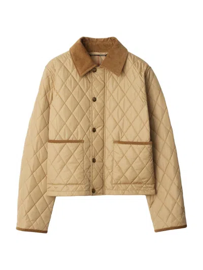 Burberry Cropped Quilted Nylon Jacket In Brown