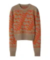 Burberry Cropped Fox Wool Sweater In Bodhi Tree/orange