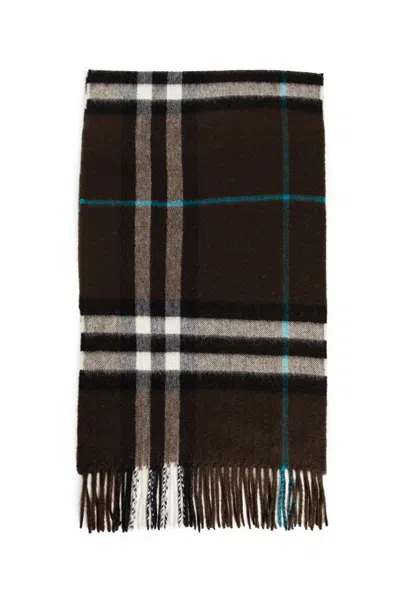 Burberry Scarves In Multicolor