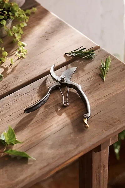 Burgon & Ball Sophie Conran For  Secateurs